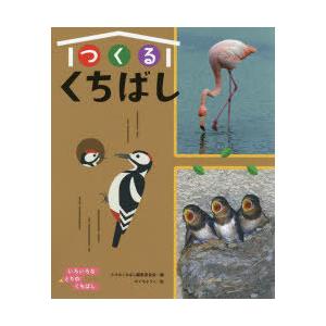いろいろなとりのくちばし 〔2〕