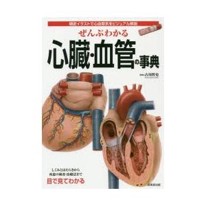 条件付 10 相当 ぜんぶわかる心臓 血管の事典 精密イラストで心血管系をビジュアル解説 古川哲史 条件はお店topで Bk Bookfan 送料無料店 通販 Yahoo ショッピング