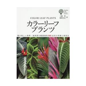 カラーリーフプランツ 葉の美しい熱帯・亜熱帯の観葉植物547品目の特徴と栽培法｜dss