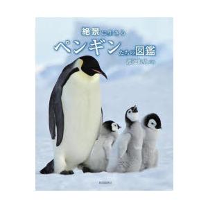 絶景に生きるペンギンたちの図鑑｜dss