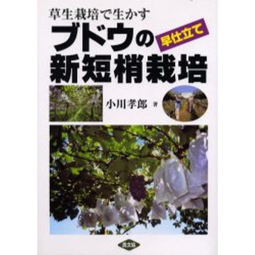 草生栽培で生かすブドウの早仕立て新短梢栽培