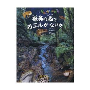 奄美の森でカエルがないた