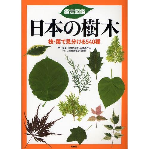 鑑定図鑑日本の樹木 枝・葉で見分ける540種