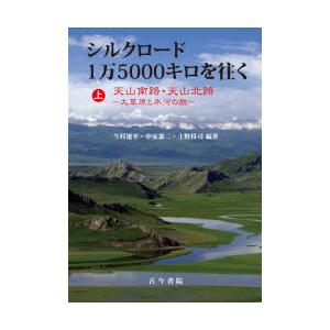 シルクロード1万5000キロを往く 上