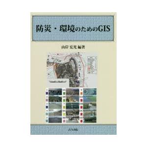 防災・環境のためのGIS｜dss