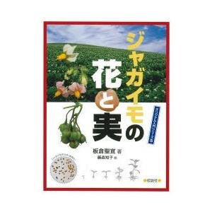 ジャガイモの花と実