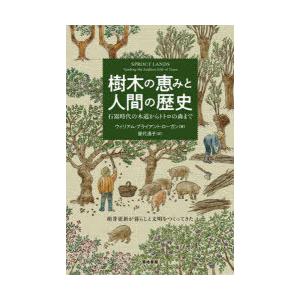 樹木の恵みと人間の歴史 石器時代の木道からトトロの森まで
