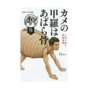 カメの甲羅はあばら骨 人体で表す動物図鑑｜dss