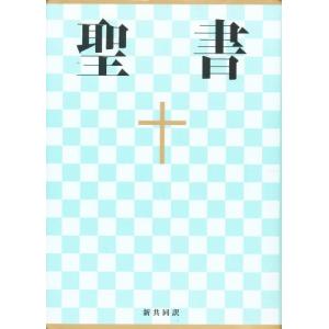 中型聖書 NI53