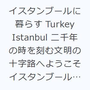 イスタンブールに暮らす Turkey Istanbul 二千年の時を刻む文明の十字路へようこそ イスタンブール生活図鑑｜dss