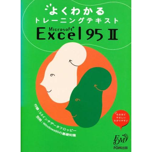 Microsoft Excel95 2