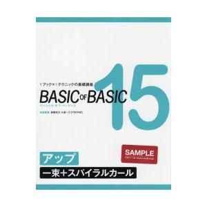 BASIC OF BASIC 15｜dss