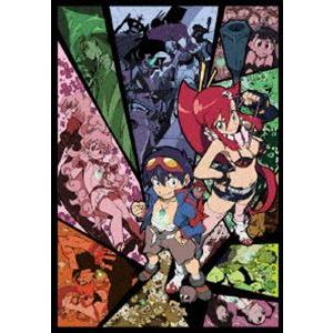 グレンラガン パラレルワークス2（完全生産限定版） [DVD]