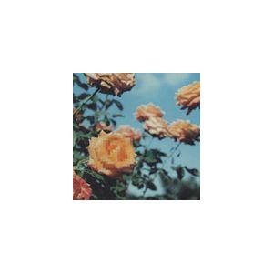 globe / マスターピース・シリーズ： Relation（期間限定生産廉価盤） [CD]