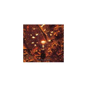 デイヴ・スチュワート＆バーバラ・ガスキン / ビッグ・アイデア・スペシャル・エディション（SHM-C...