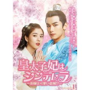 皇太子妃はシンデレラ〜花嫁は可愛い盗賊!?〜 DVD-BOX1 [DVD]