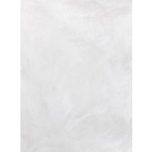 J / Limitless（初回生産限定盤SPECIAL SET／CD＋DVD） [CD]
