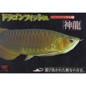 ドラゴンフィッシュ特集 DVDの買取情報