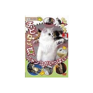 ねこ（猫）ざランド Vol.3 チビねこ、猫、ニャンコがいっぱい [DVD]