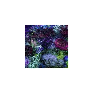 あなたに出会わなければ 夏雪冬花 ａｉｍｅｒの商品一覧 通販 Yahoo ショッピング