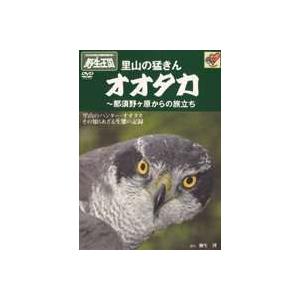 里山の猛きん オオタカ 〜那須野ヶ原からの旅立ち [DVD]