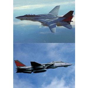 F-14A トムキャット ファイナル [DVD]の商品画像