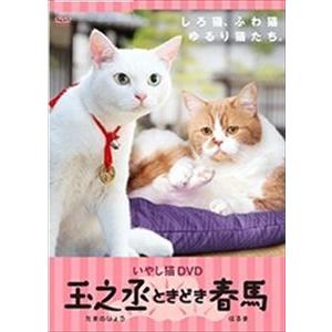 いやし猫DVD 猫侍 玉之丞ときどき春馬 [DVD]
