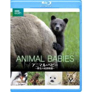 BBC earth アニマル・ベビーの買取情報