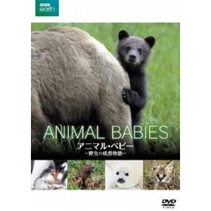 BBC earth アニマル・ベビー DVDの買取情報