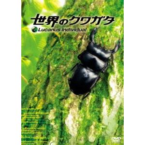 世界のクワガタ [DVD]