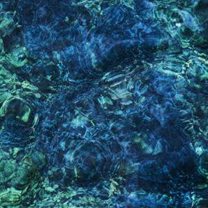 Ichiko Aoba / Luminescent Creatures [CD]