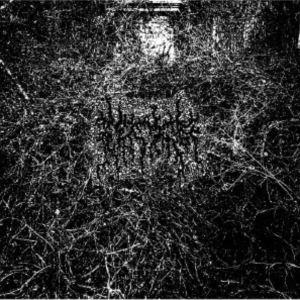 ARID / Harvesting the Toil of Flesh Beyond the Ent...