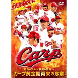 元気丸特選2014 菊池＆丸＆大瀬良＆堂林…カープ黄金期再来の序章 [DVD]