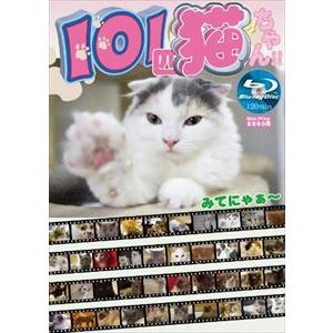 101匹猫ちゃん [Blu-ray]｜dss