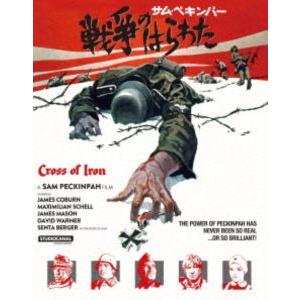 美女か野獣 DVD-BOX 初回限定版 [DVD] : ぐるぐる王国DS ヤフー店