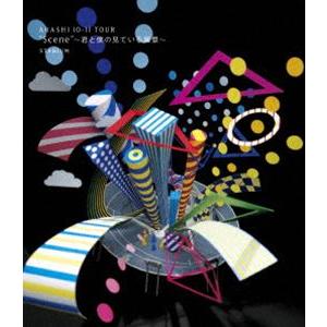 嵐／ARASHI 10-11 TOUR”Scene”〜君と僕の見ている風景〜 STADIUM [Bl...