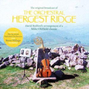 マイク・オールドフィールド＆デヴィッド・ベッドフォード・ウィズ・スティーヴ・ヒレッジ / オーケスト...