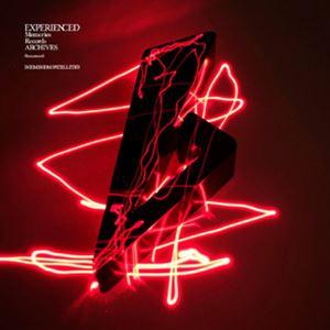 ブンブンサテライツ／EXPERIENCED Memories Records ARCHIVES -R...
