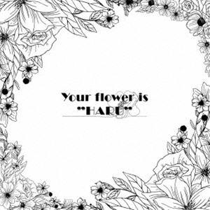 BOY MEETS HARU / Your flower is ”HARU” [CD]