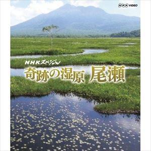 NHKスペシャル 奇跡の湿原 尾瀬 [Blu-ray]｜dss