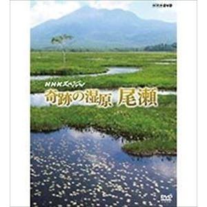 NHKスペシャル 奇跡の湿原 尾瀬 [DVD]｜dss