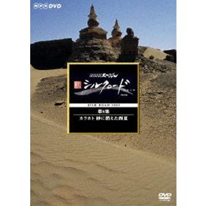 NHKスペシャル 新シルクロード特別版 第8集 カラホト 砂に消えた西夏 [DVD]｜dss