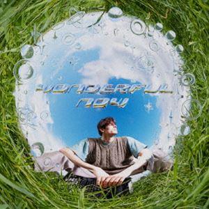 アナトール・マスター / ワンダフル・ナウ [CD]