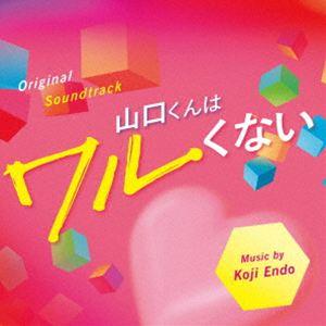 新・科捜研の女'06 VOL.1〜5 全5巻 [DVDセット] : ぐるぐる王国DS