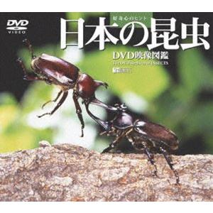 日本の昆虫／DVD映像図鑑 [DVD]