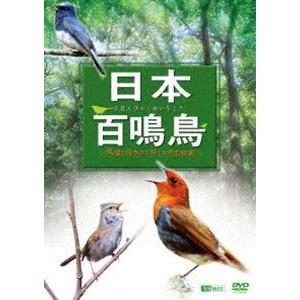 日本百鳴鳥／映像と鳴き声で愉しむ野鳥図鑑 [DVD]の買取情報