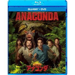 お遍路 高齢者 映像で巡る四国八十八カ所の旅」全48巻DVD : 脳