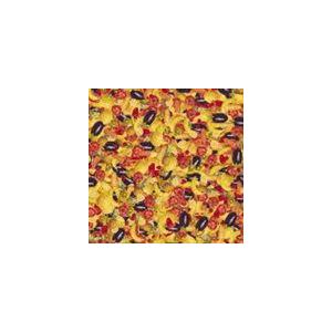 lostage / GO（通常盤） [CD]