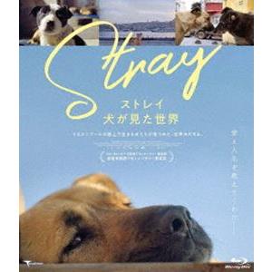 ストレイ 犬が見た世界 [Blu-ray]