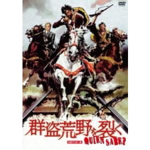 ウルトラプライス版 群盗荒野を裂く HDマスター版《数量限定版》 [DVD]